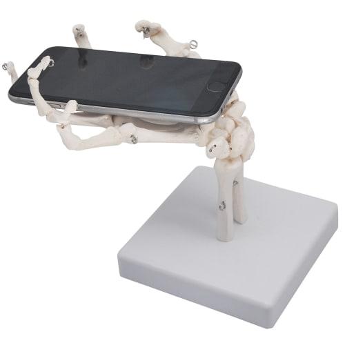 Monolife Hand Joint Model, Hand Skeleton Model, Educational Model, Right Hand, Wrist, Articulated Type