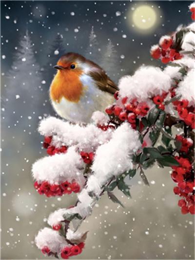 5D DIY Diamond pictura Crăciun cadou pasăre zăpadă copac cruce cusătură plină de dril pătrat broderie mozaic iarnă imagine Home decor