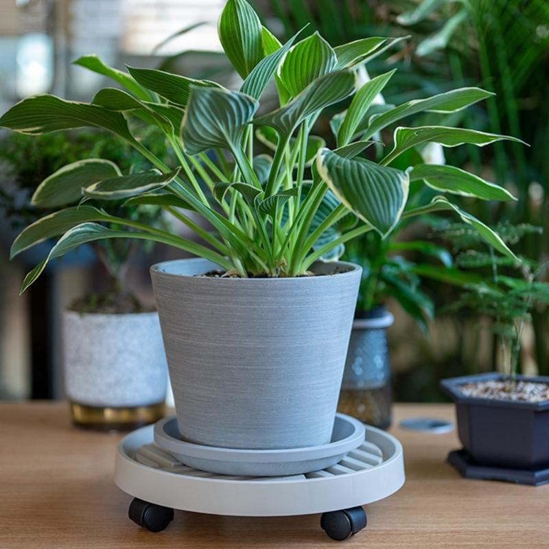 Plant Mover Holder With Locking Casters Plastic Base for Indoor Outdoor Gardening Use Easy Assembly Heavy Load Stability