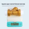 All-Copper Y-Type Filter Valve for PPR/PE20 Water Pipes, 6 Points, Thickened Brass Fittings