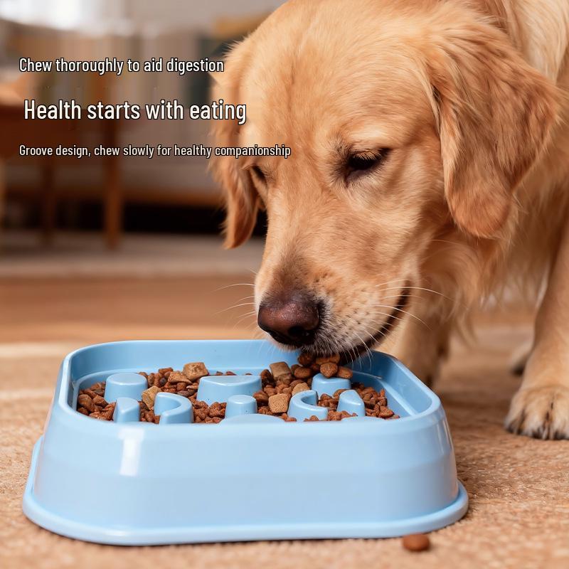 Anti-Choking Pet Slow Feeder Bowl