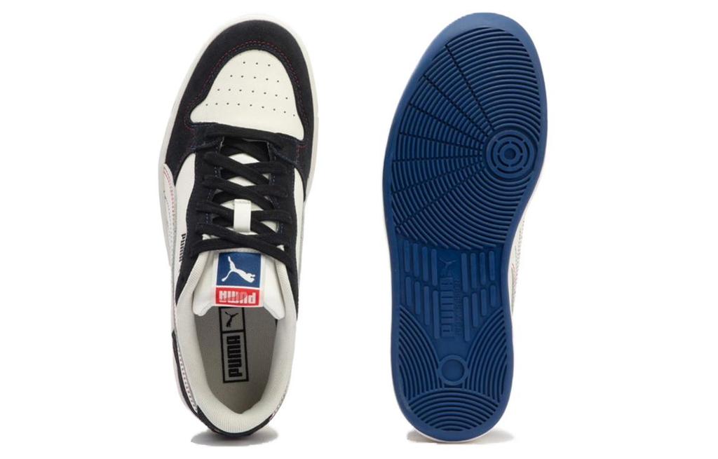 Puma Sky LX Low Top Skateboard Shoes Unisex Black