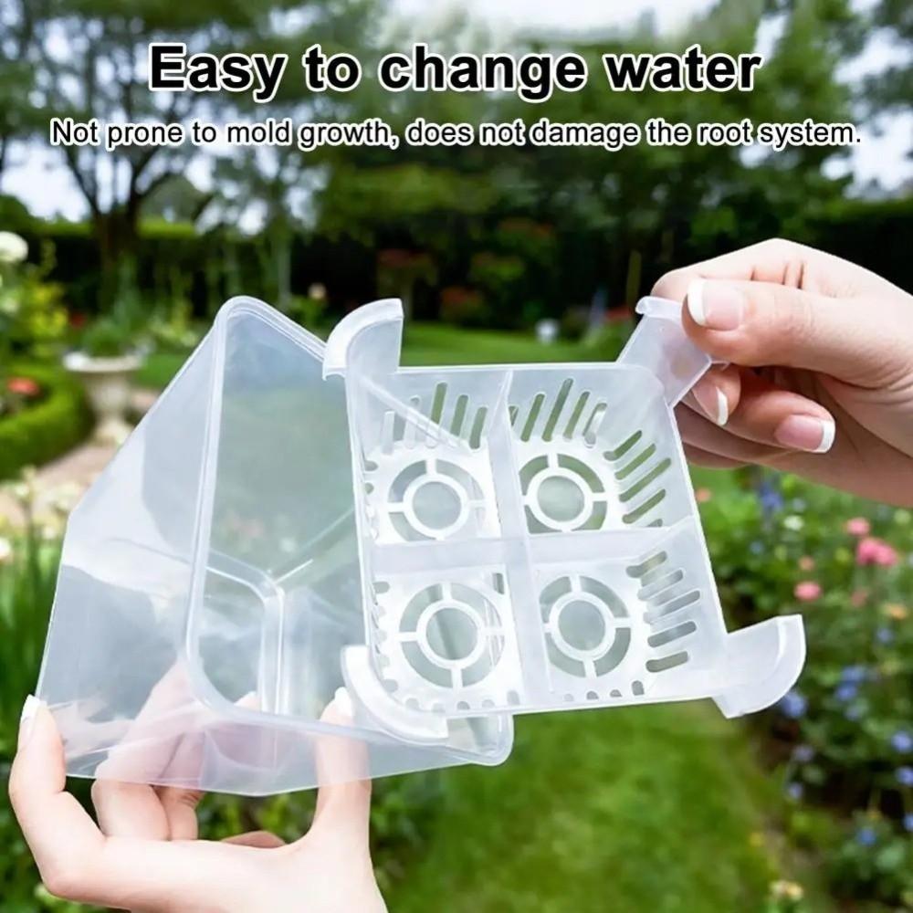 3PCS 4-grides Design Hydroponic Flower Pot with Drainage Holes Transparent Planting Basket Plastic Square Tulip Bulb Planter