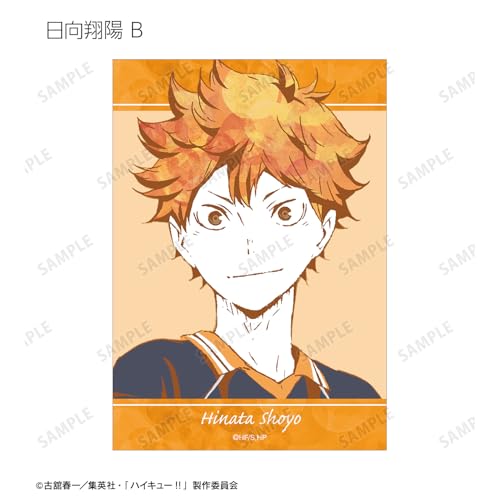 Armabianca Haikyu!! Trading Ani Art 1st Edition Bromide ver.A 12.7 x 8.9cm Paper Box of 18
