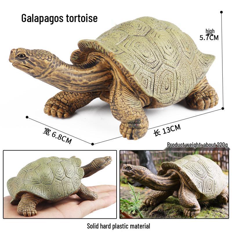 Wild Animal Model: Children's Simulation Turtle Gift Set - Tortoise Variants & Spiderweb Design.