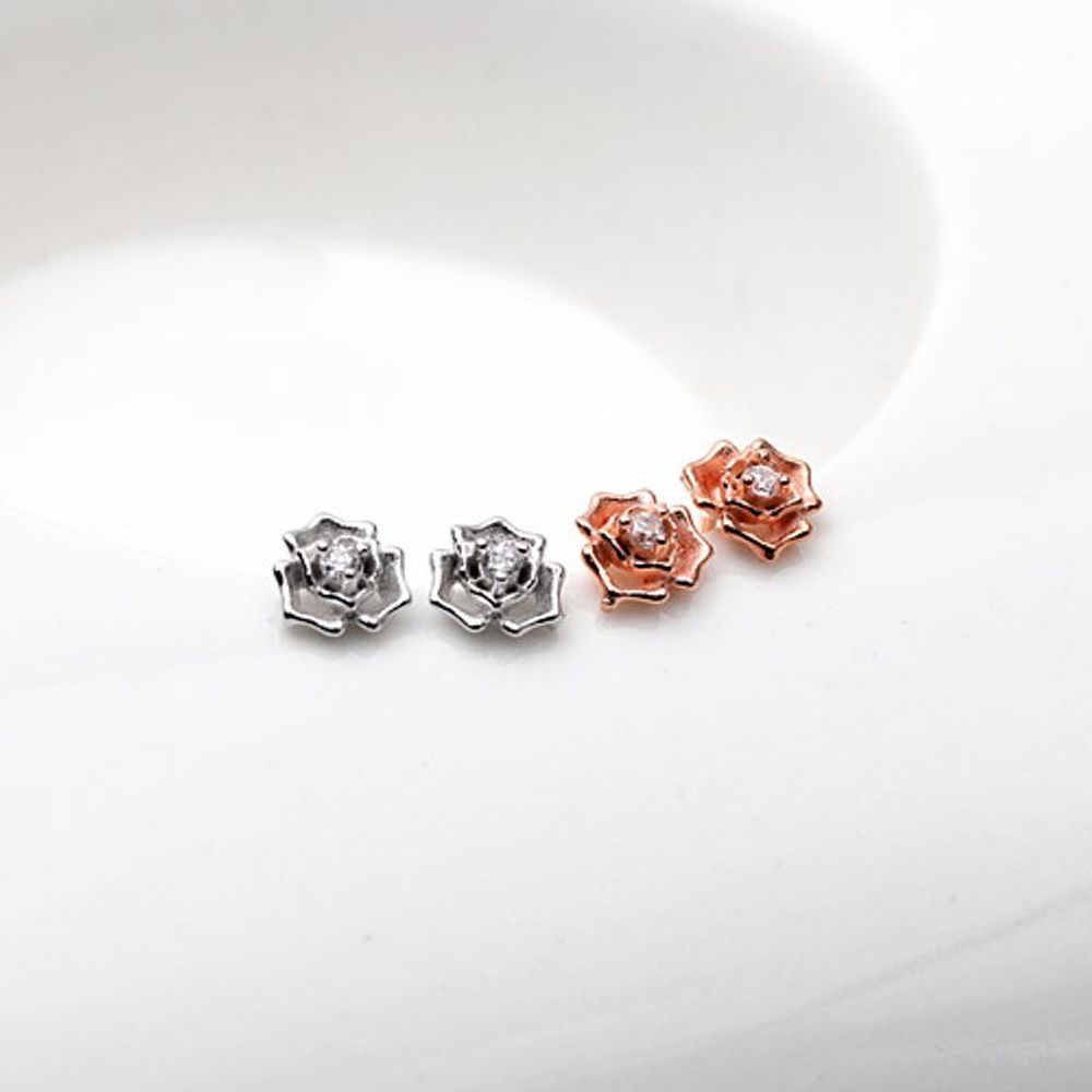 [Aslit] Full Silver Rose Flower Cubic Earrings_White [30377753]