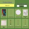 Solid Chinese Painting Pigment Set: 12 & 24 Color Options for Beginners