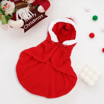 Gatos – Roupa para gatos