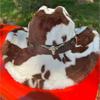 Wide Brim Faux Fur Fedora Hat Fuzzy Plush Cowboy Hat Vintage Cowgirl Hat  Party Wear
