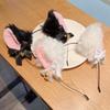 A set of 2 adorable cat-ear headbands and a bell-adorned collar, perfect for women and girls at Halloween, birthday parties, or costume parties