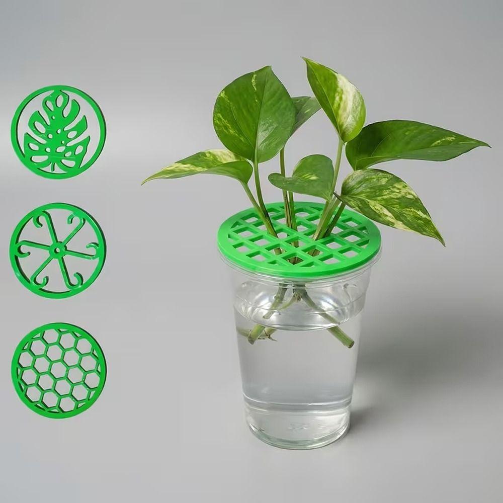 Flower Stem Holder Plant Starter Trays Germination Cover Plant Propagation Trays  Horticultural