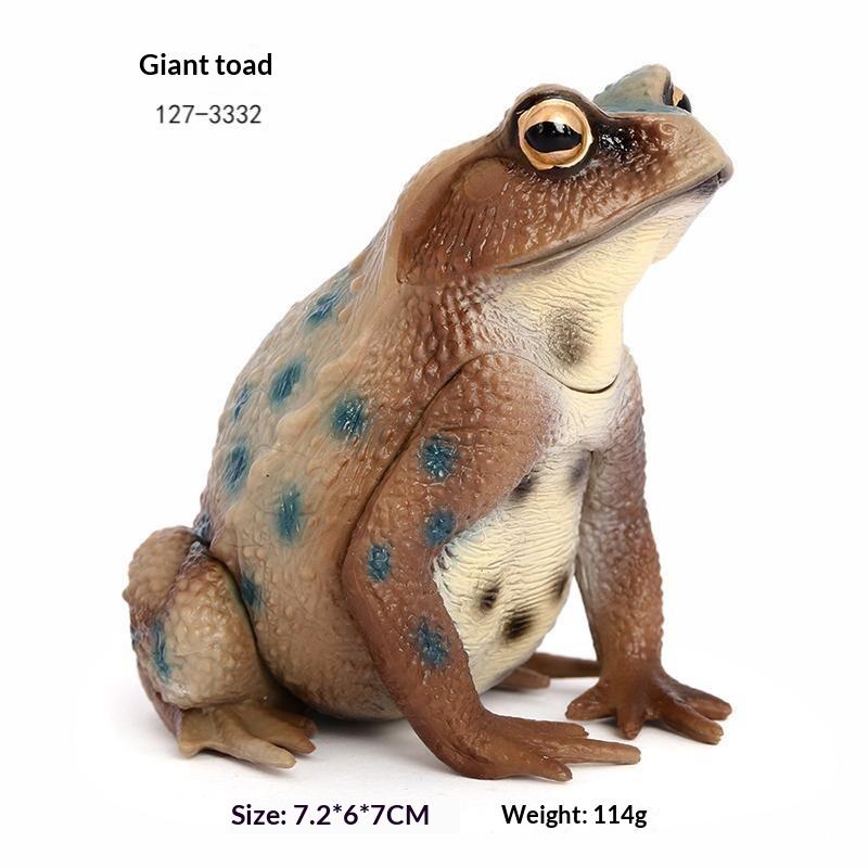 1Pcs Hand Painted Amphibious Animal Figurine Educational Realistic Toad Frog Figure Rubber Animal Model Toy For Kids