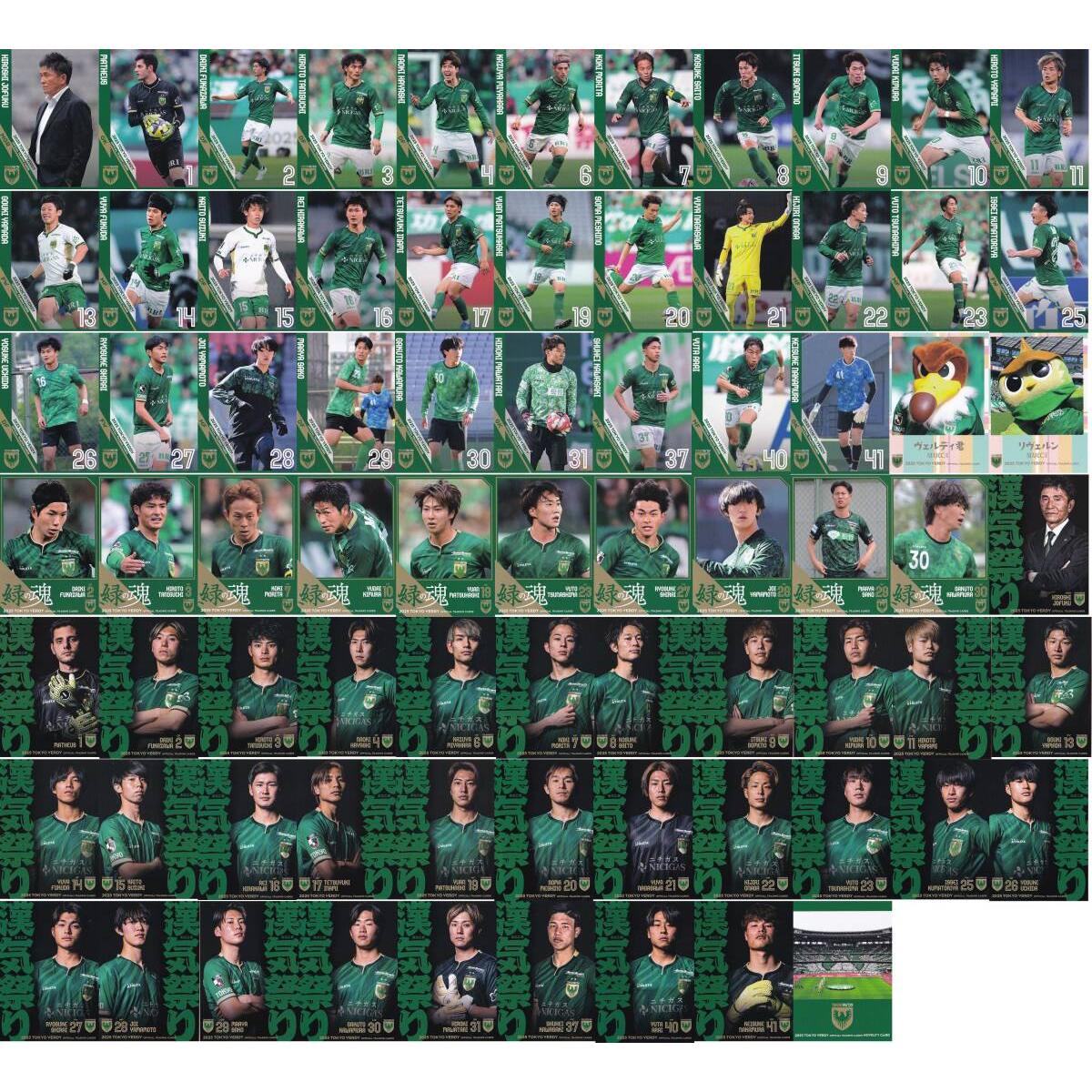 Used Tokyo Verdy 2025 Official Card Regular Edition + Novelty 75 Piece Set