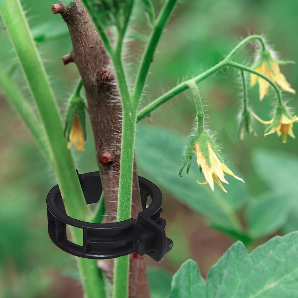 Verdickter Pflanzenbefestigungsclip Veredelungsclip Aufhängevorrichtung Tomatenclip Pflanzenclip Kunststoff Rebenclip Astbindung