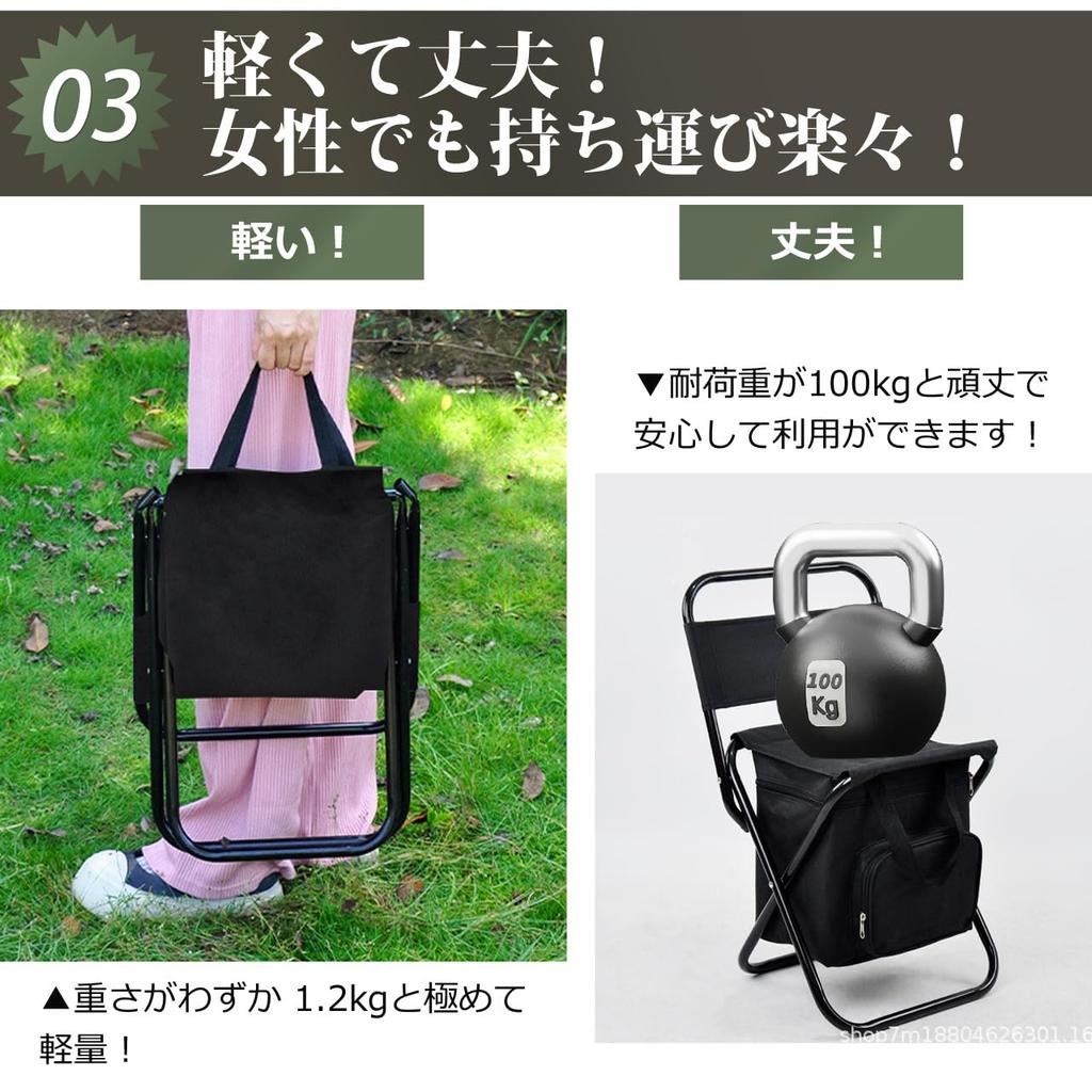 Folding Chair with Insulated Bag for Outdoor and BBQs Camping, Storage, Activities, Fishing, (Blue)