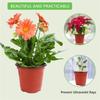 Plastic Seedling Pots, 50 Pieces of 4-inch Mini Seedling Pots