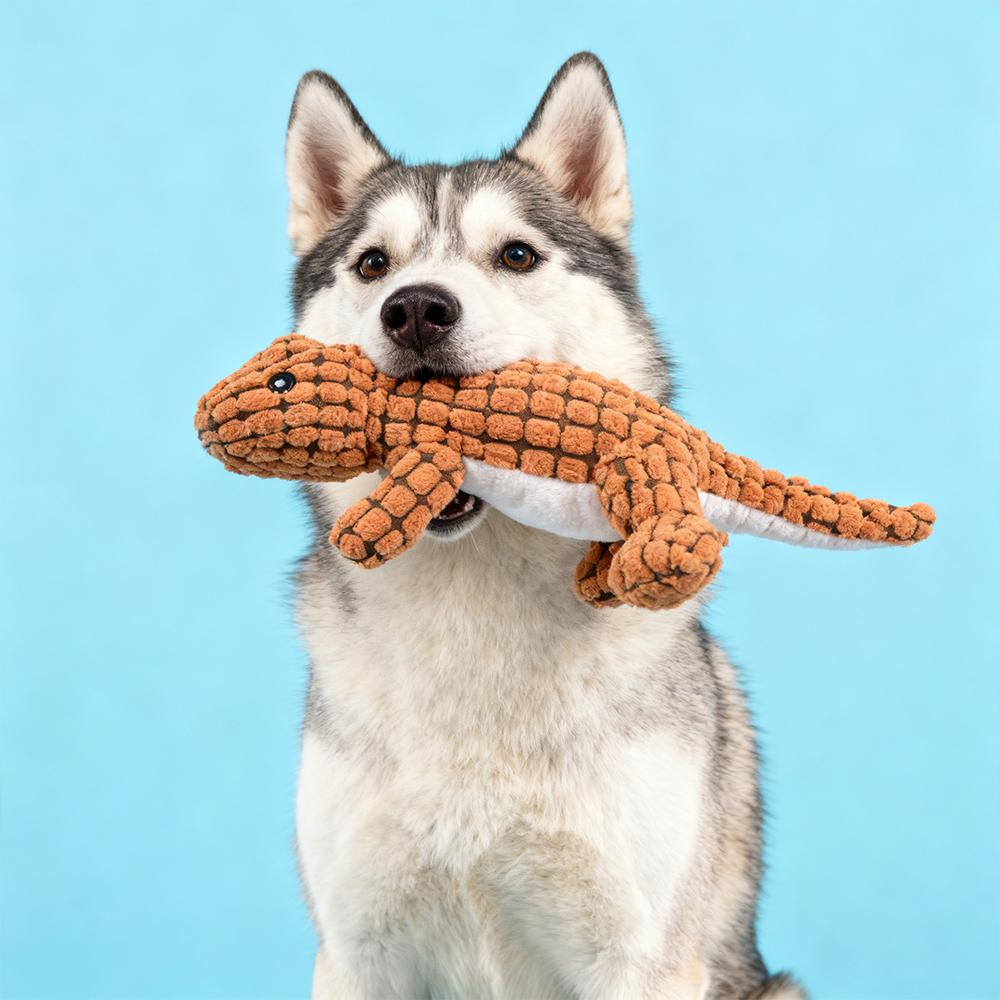 Pet Plush Dinosaur Toy Interactive Sound-Making Cat and Dog Chew Toys Bite Resistant Sound Making Doll Stuffed Material Dogs Cat