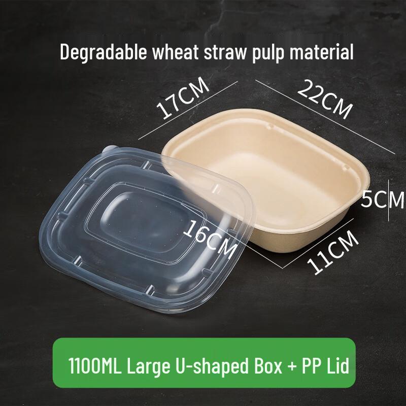 Disposable Paper Pulp Takeout Container