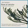 ABIB Jericho Rose Cream 75ml+30ml