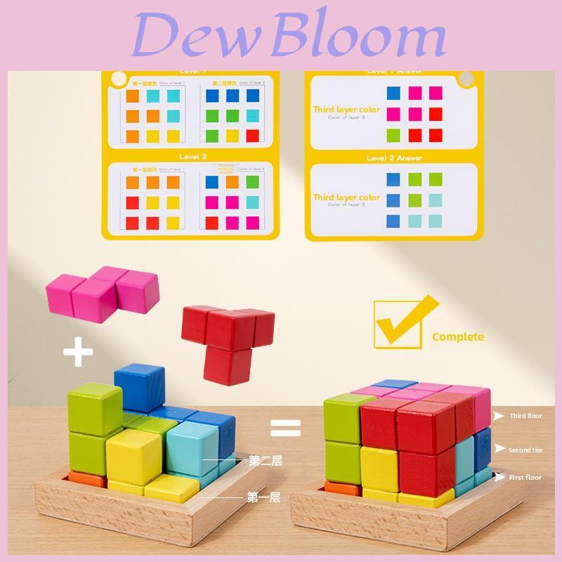 Wooden Geometric Brain Teaser Blocks For Kids Educational Toy
