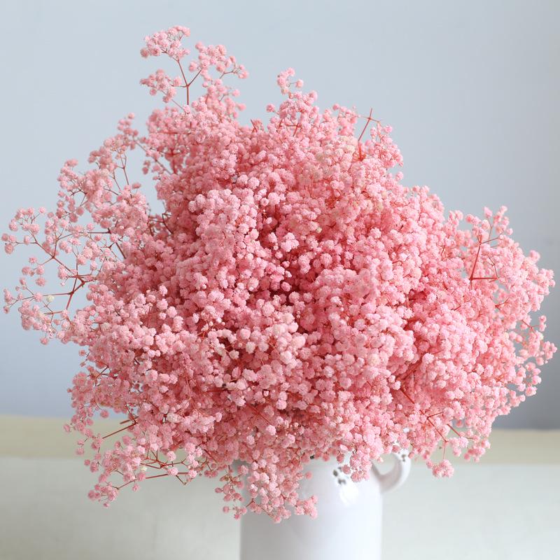 Eternal Gypsophila Bouquet: Color-Absorbing Ilocos Flowers for DIY Floral Arrangements and Wedding Decorations