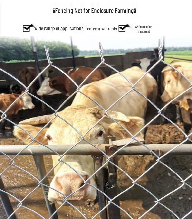 Rete metallica zincata antiruggine per recinzioni di fattorie, bestiame e protezione di frutteti