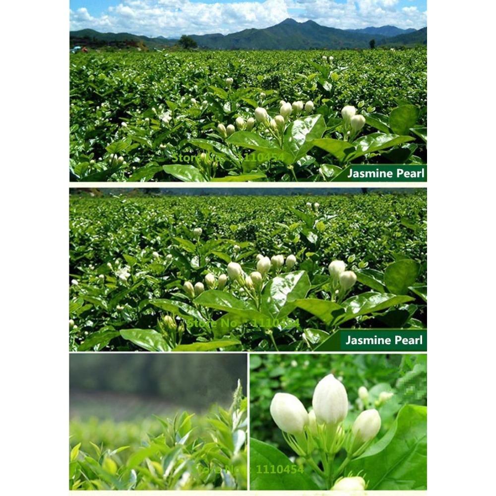 250g Organic Chinese Jasmine Green Tea Loose Leaf Premium Grade Floral Scented
