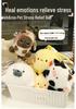 Internet Celebrity Cute Pet Plush Squeezy Ball Keychain & Bag Charm
