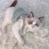 Breathable Cat Clothing Faux Rabbit Fur Pet Supplies Winter Warm Dog Cat Fleece Clothes  Autumn