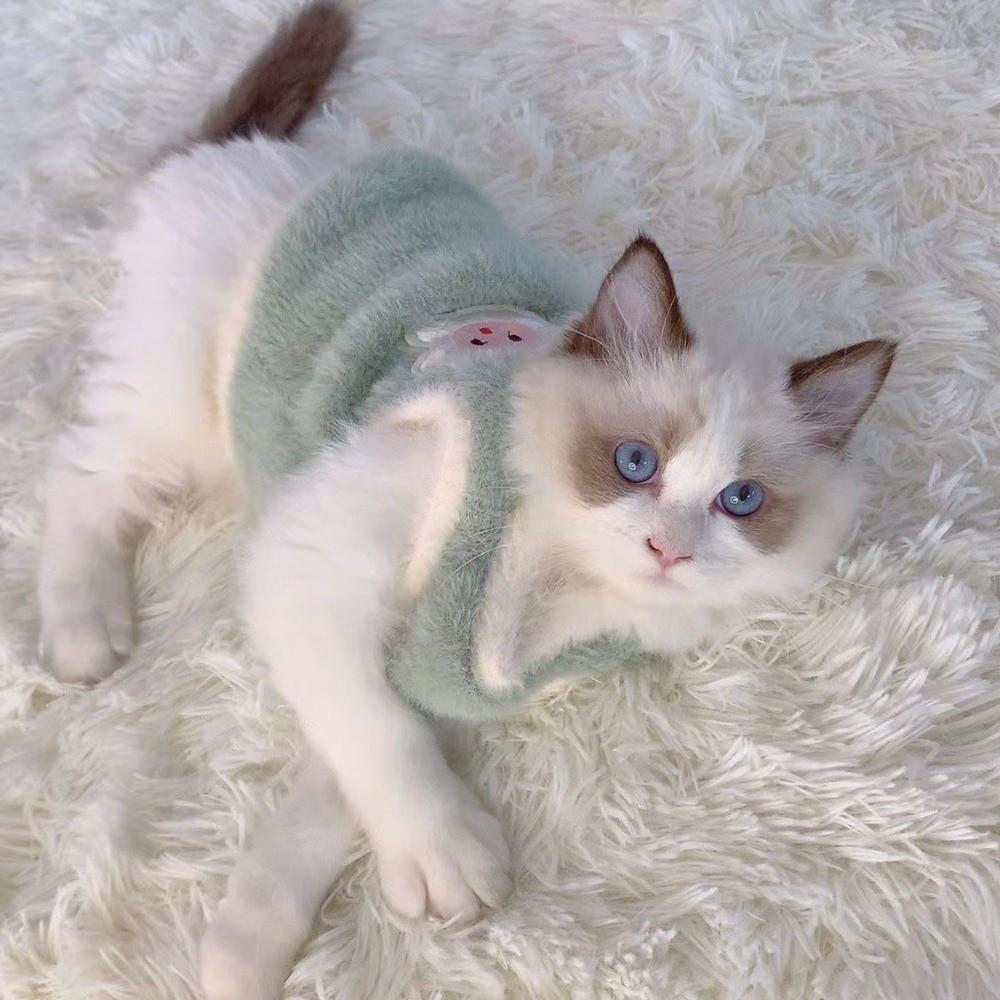 Breathable Cat Clothing Faux Rabbit Fur Pet Supplies Winter Warm Dog Cat Fleece Clothes  Autumn