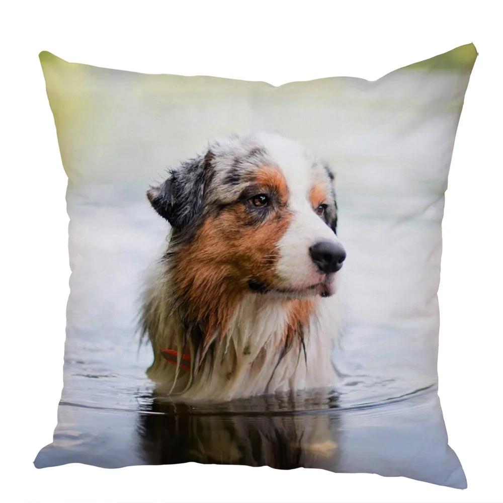 Cute Australian Shepherd Dog Pillow Case Peach Skin Decor Pet Animal Cushion Cover Thorw Pillowcase for Sofa Home Car 45x45cm