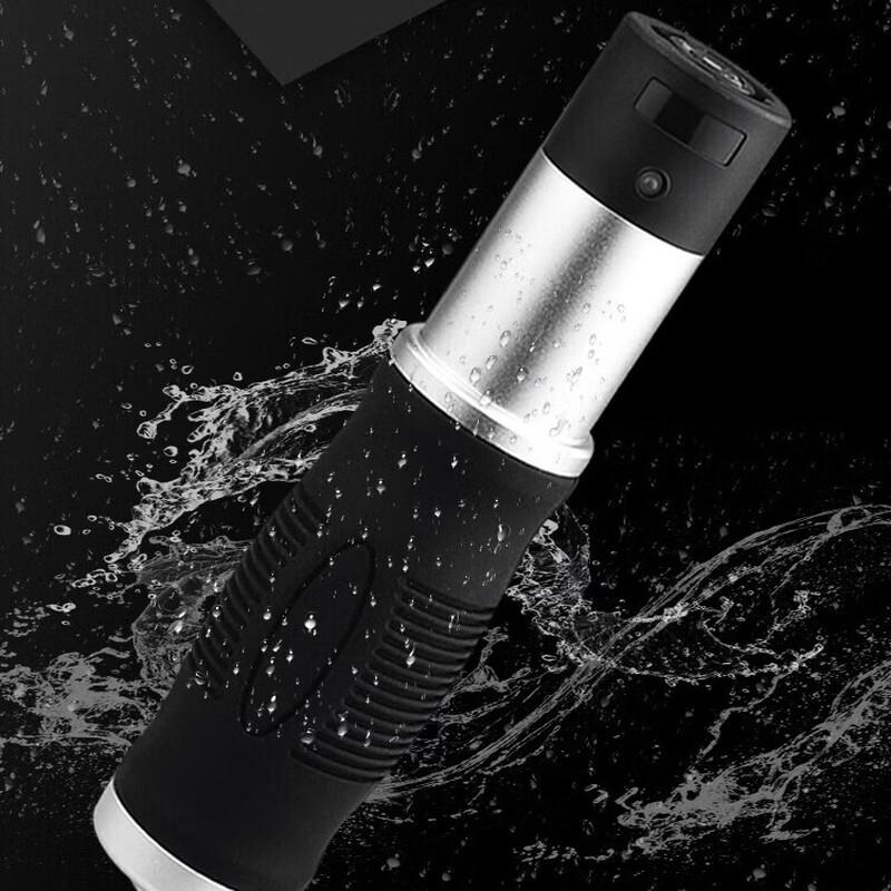 Realand ZA30 RFID Patrol Wand CN plug (adapter included)