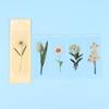 Book Note Marker PET Bookmarks Card Specimen Bookmarks Nature Plants Bookmarks Translucent Flower