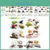 Realistic 25 Piece Insect Life Cycle Cards Set For Worms Ladybugs Dragonflies Frogs And Snails