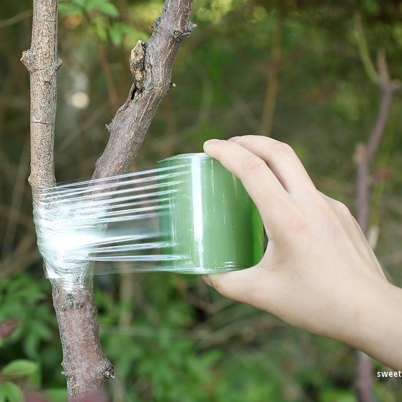 100m in Length Width 20/30mm Stretchable Self-adhesive PE Grafting Tape Film and Multi-functional Gardening Plant Seedling Pruning Shear