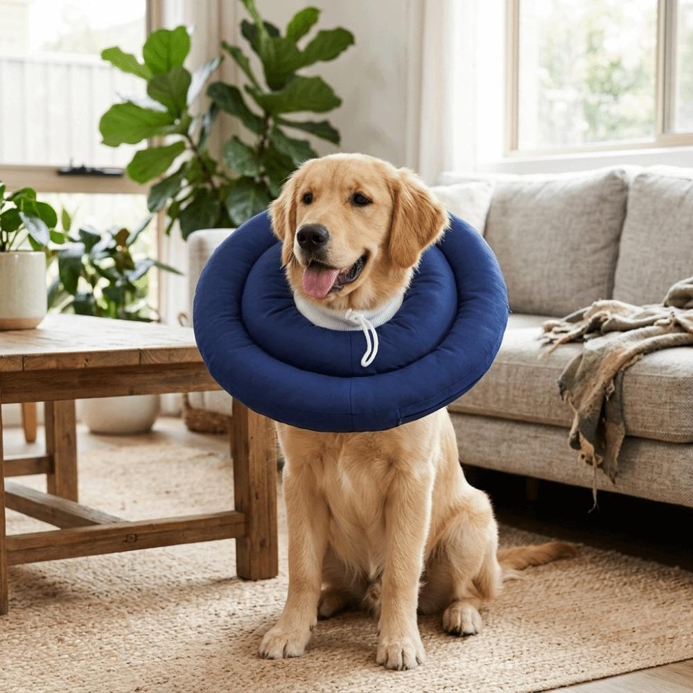 Lightweight Recovery Cone Waterproof Anti-Lick Shield Portable Neck Guard Anti Bite