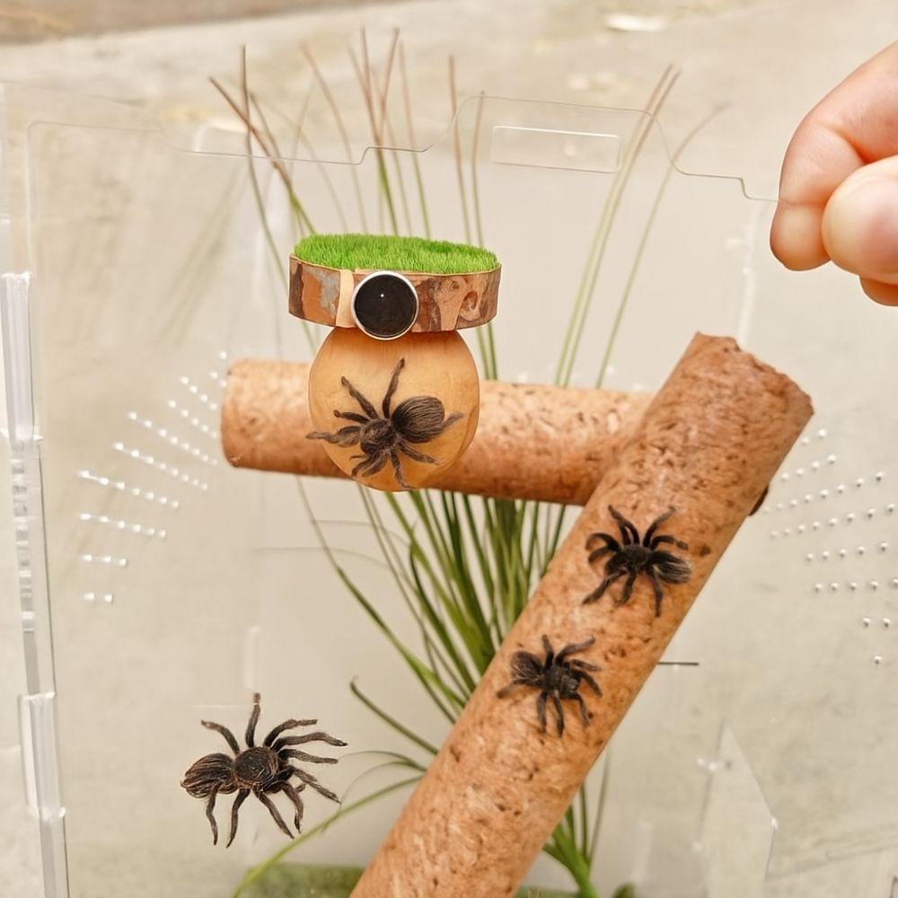 Mini Jumping Spider Shelter Handmade Magnetic Spider Habitat Spider Hide Cave  Tarantula House Cage