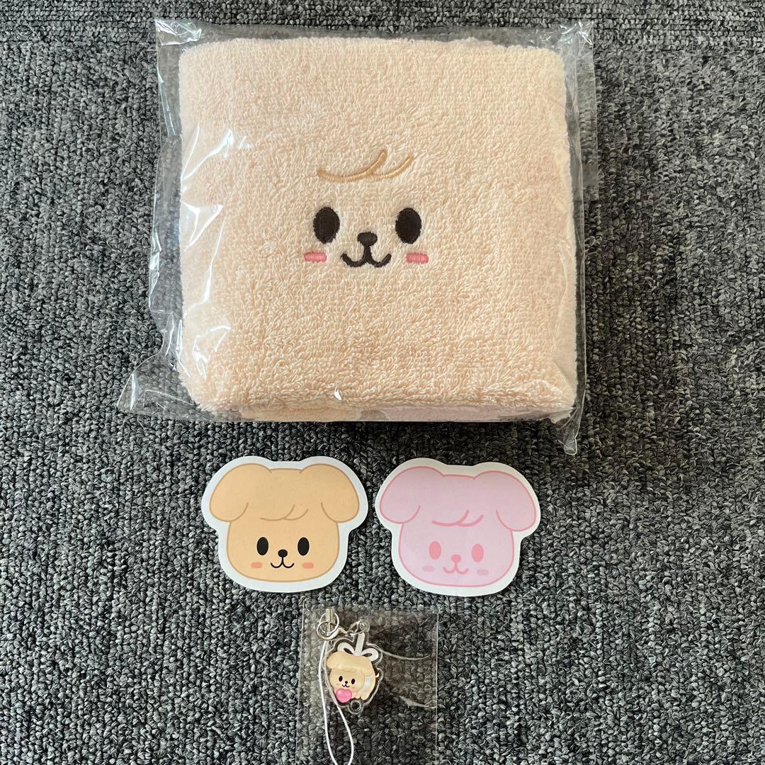 

[USED] Stray Kids Fan Meeting Admission Bonus Keyring - Seungmin Papiim