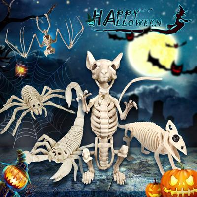 Human Bones Halloween Animal Skeleton Skeleton Model Animal Model  Halloween