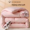 Ji Hua Class A Thickened Spring/Autumn Cotton Quilt