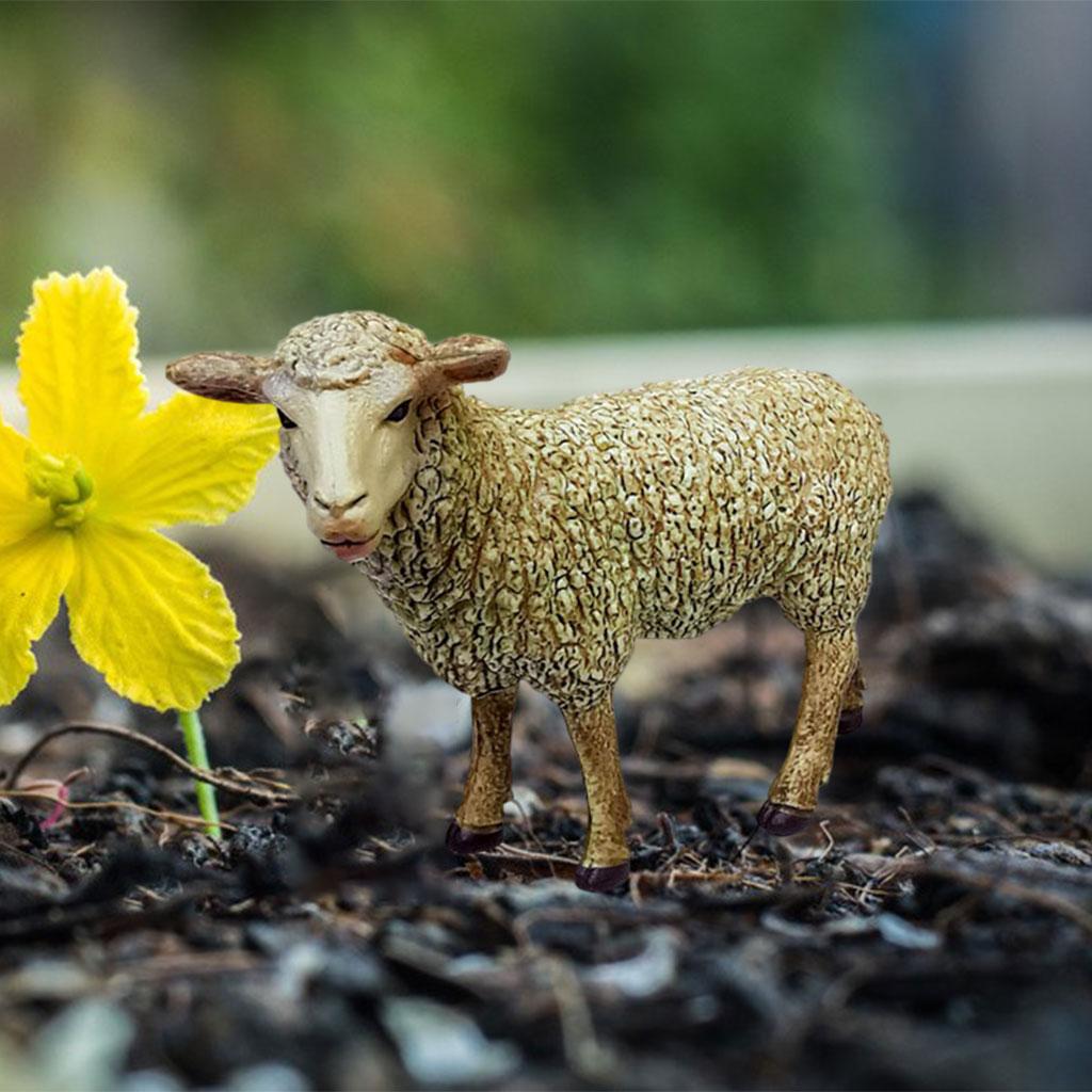 Sheep Animal Figurines, Simulation Zoo Farm for Kids Gift Home Desktop Decor