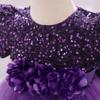 Sequin Tulle Party Dress for Baby Girls - Perfect for Birthdays & Banquets