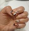 10Pcs Cute 3D Capybara Cat Eye Glossy Press On Nails Handmade Cartoon False Nail Tips Korean Manicure