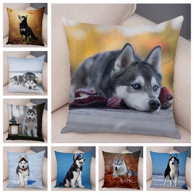 Pet Animal Sofa Cushion Cover Cute Siberian Husky Pillowcase Decorative Dog Print