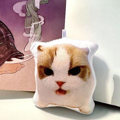 1pcs Kitten Voice Doll Soft Plush Portable Squeeze Talking Cat For Bag Home Car Decor Keychain Realistic Meow Sound Kids Toys