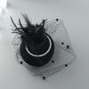 Fascinator Elegant Retro Birdcage Veil Hat Black Veil Top Hair Accessories Bridal Face Veils