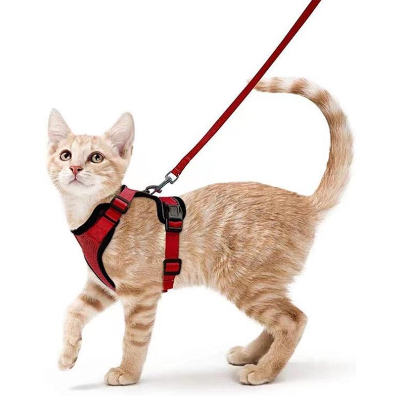 Welpen-Mesh-Set für kleine Katzen, Geschirr und Leine, verstellbare Weste, fluchtsicher für Haustier, Kätzchen, einfache Kontrolle, reflektierendes Hundegeschirr
