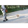 New Adjustable Durable 3/5/8m Retractable Dog Leash Roulette Collar for Small Big Dogs - Walking, Hiking, Bulldog Accessories