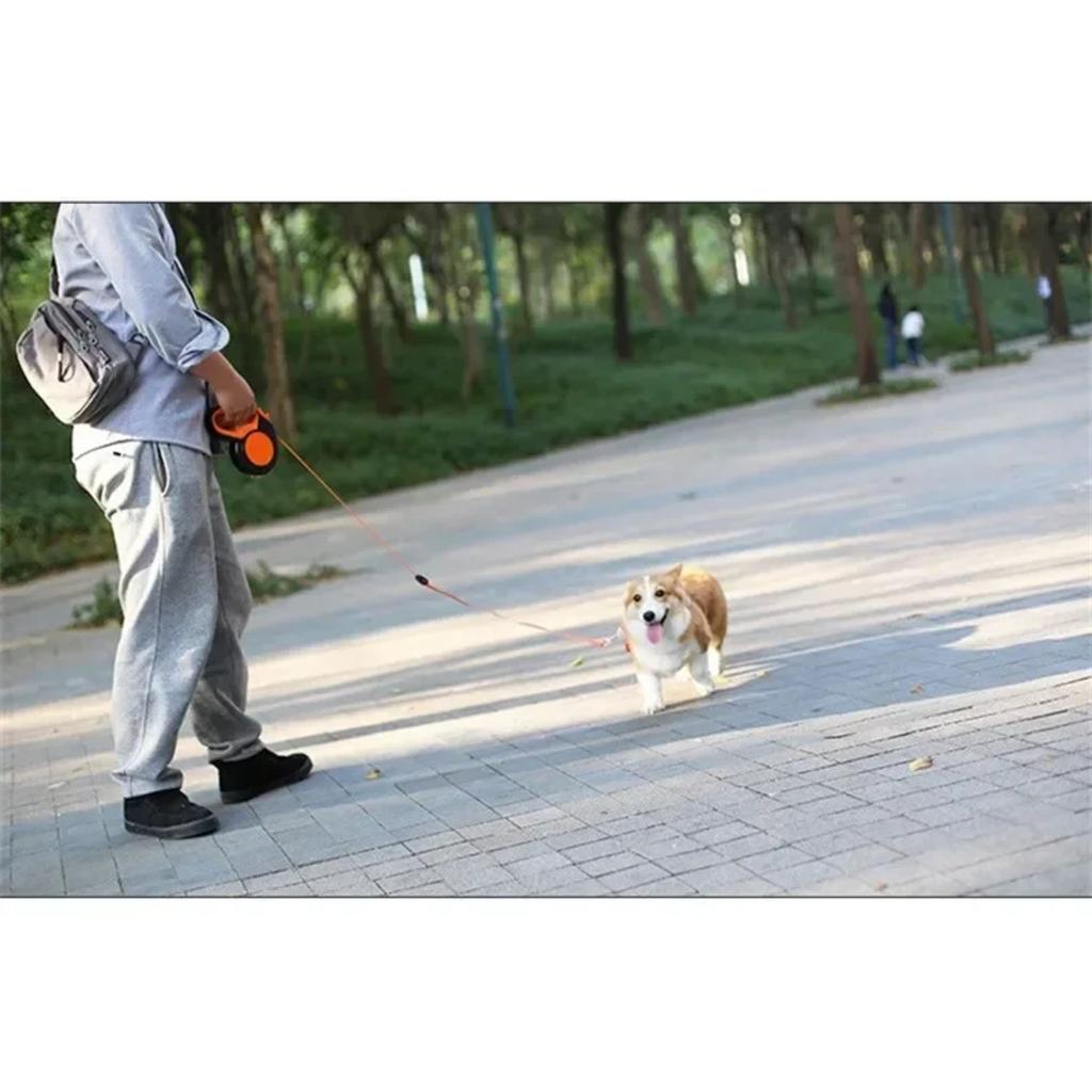 New Adjustable Durable 3/5/8m Retractable Dog Leash Roulette Collar for Small Big Dogs - Walking, Hiking, Bulldog Accessories
