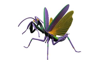 Fujimi Model Free Research Series 231 Evangelion Edition Giant Mantis Unit 01 Specification Free No. Cercetare-231